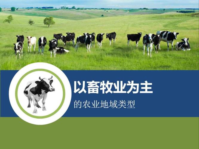 以畜牧业为主的农业地域类型精品